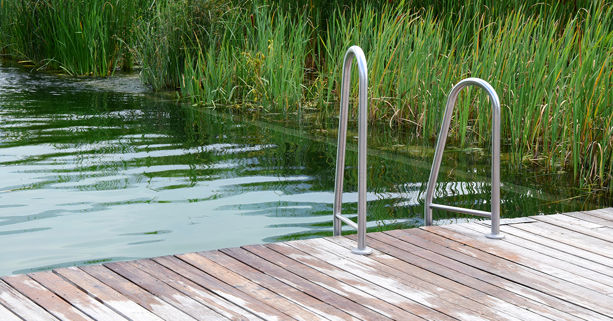 Piscine naturelle, une alternative intéressante Piscine naturelle, une alternative intéressante