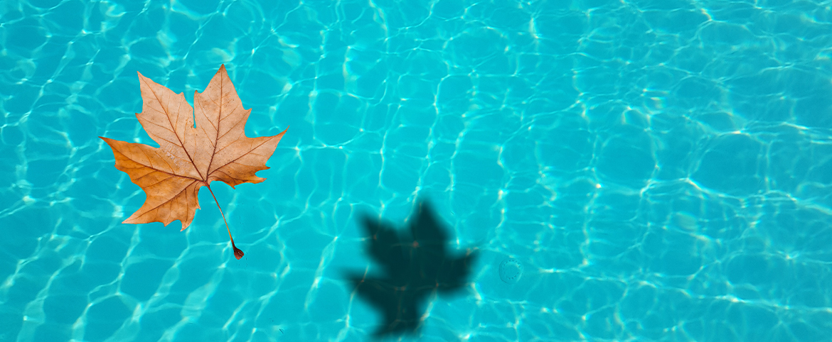 Une période plus calme pour les piscines Une période plus calme pour les piscines