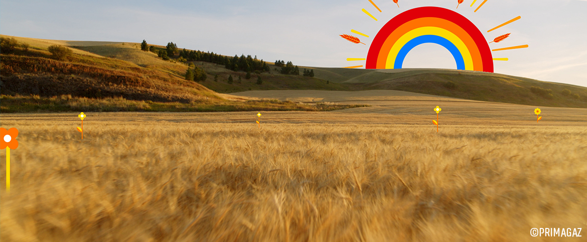 Futuria, un pas décisif vers les énergies renouvelables pour les zones off-grid - Primagaz Futuria, un pas décisif vers les énergies renouvelables pour les zones off-grid - Primagaz