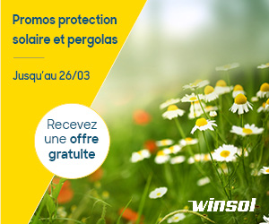 WINSOL