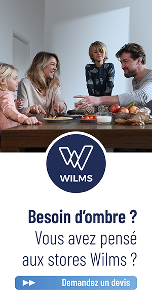 Wilms V