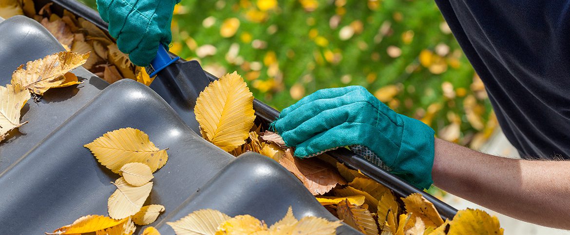 Cinq actions à entreprendre avant l’hiver Cinq actions à entreprendre avant l’hiver
