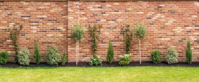 Comment construire un mur vers votre voisin en toute tranquillité ?