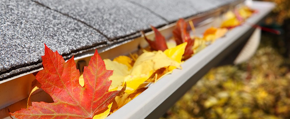 L’automne est là, pensez à vos entretiens ! L’automne est là, pensez à vos entretiens !