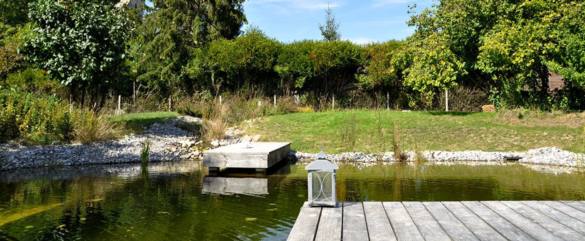 Piscine naturelle, une alternative intéressante Piscine naturelle, une alternative intéressante