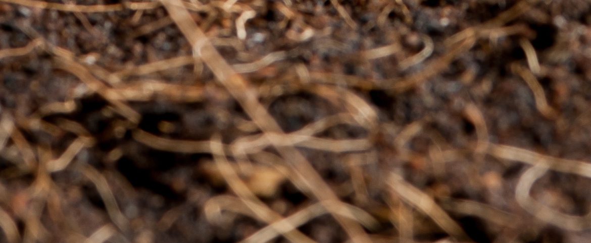 Geothermie ou comment se chauffer à la chaleur de la terre Geothermie ou comment se chauffer à la chaleur de la terre
