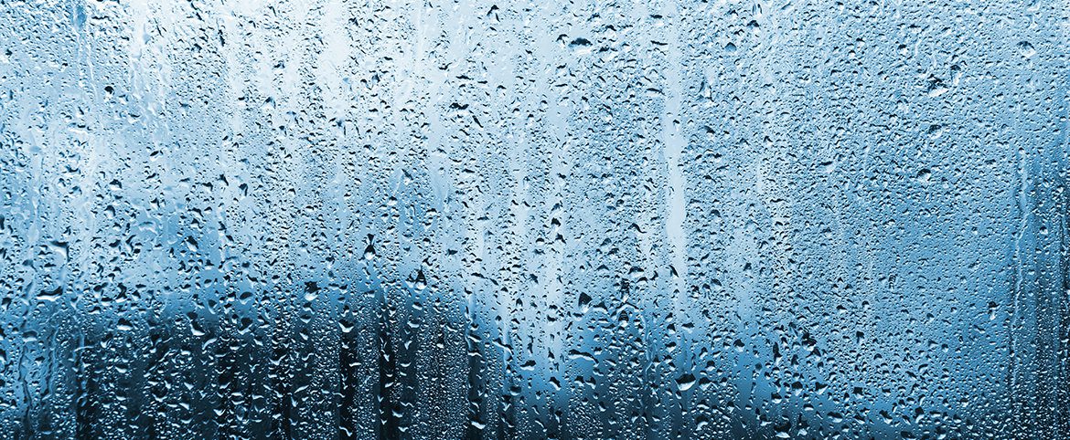 Profitez des bienfaits de la pluie… Profitez des bienfaits de la pluie…