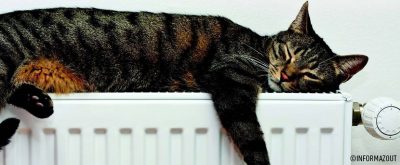 Informazout – Le secret pour se chauffer moins cher au mazout !
