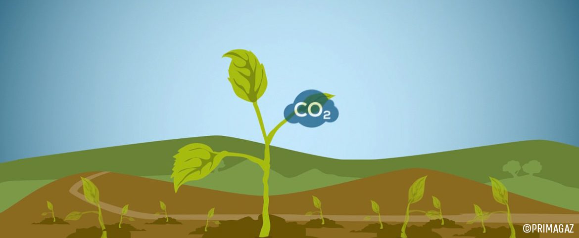 Primagaz : Qu’est-ce que le biopropane ? Primagaz : Qu’est-ce que le biopropane ?