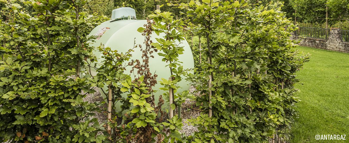 Antargaz Belgium lance le gaz compensé en CO2 Antargaz Belgium lance le gaz compensé en CO2