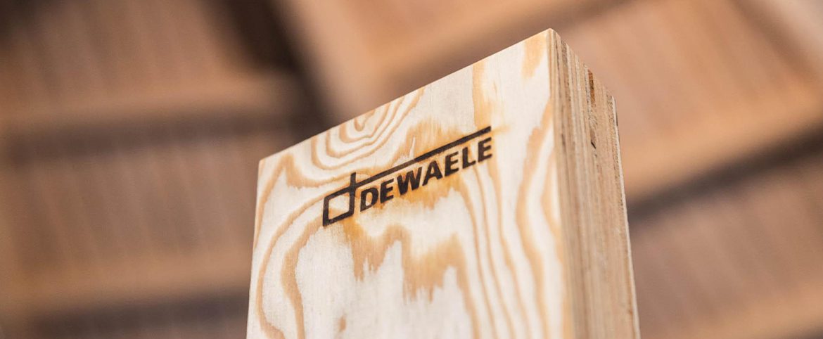 Maisons Dewaele - Une construction durable ? Optez pour l'ossature bois !