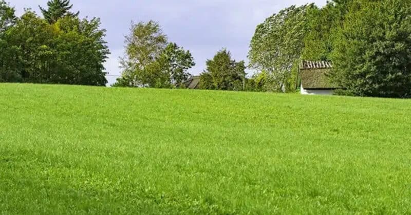 acheter terrain bâtir conseils vérifications