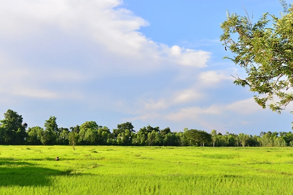 acheter terrain bâtir conseils vérifications
