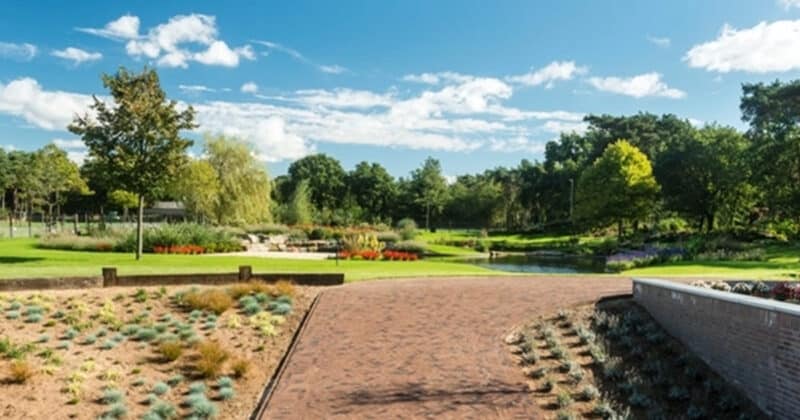 Nettoyage écologique des pavés en terre cuite