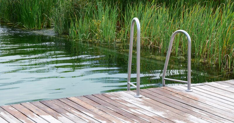 Piscine naturelle, une alternative intéressante