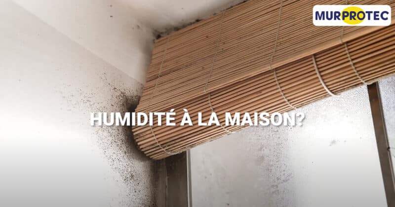 Murprotec – Humidité dans la maison?