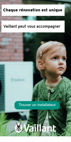 Vaillant V