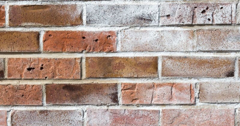 Efflorescences sur les briques de façade : comment les éviter et les traiter efficacement