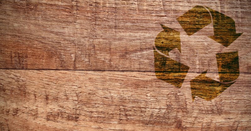 Bois, circularité et réemploi dans la construction : vers un modèle durable