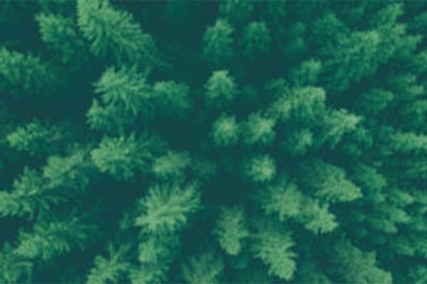 Bois, circularité et réemploi dans la construction