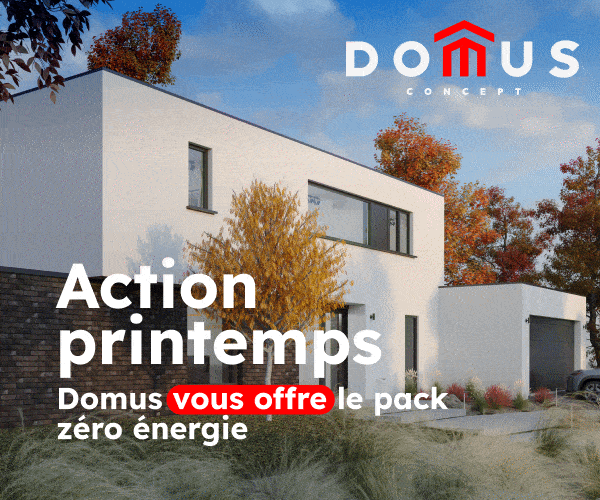 DOMUS CONCEPT